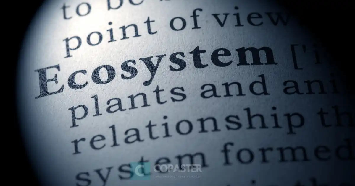 ecosystem