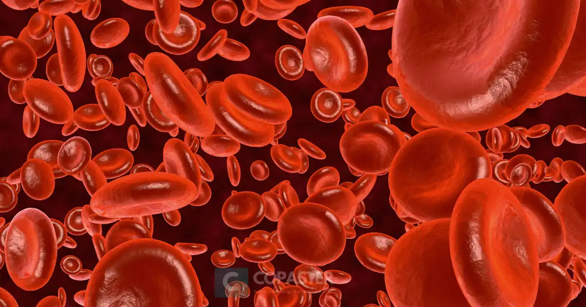 apa itu hemoglobin