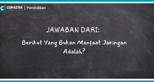 berikut yang bukan manfaat jaringan adalah