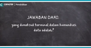 yang dimaksud terminal dalam komunikasi data adalah