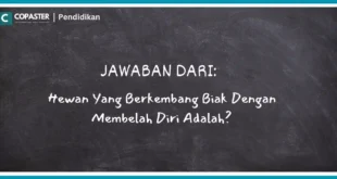 Hewan Yang Berkembang Biak Dengan Membelah Diri Adalah?