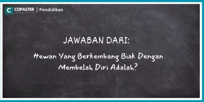 Hewan Yang Berkembang Biak Dengan Membelah Diri Adalah?