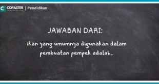 ikan yang umumnya digunakan dalam pembuatan pempek adalah