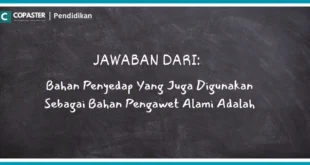 Bahan Penyedap Yang Juga Digunakan Sebagai Bahan Pengawet Alami Adalah