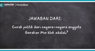 corak politik dari negara negara anggota gerakan nonblok adalah