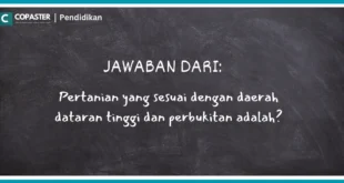 Pertanian yang sesuai dengan daerah dataran tinggi dan perbukitan adalah?