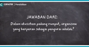 dalam ekosistem padang rumput organisme yang berperan sebagai pengurai adalah