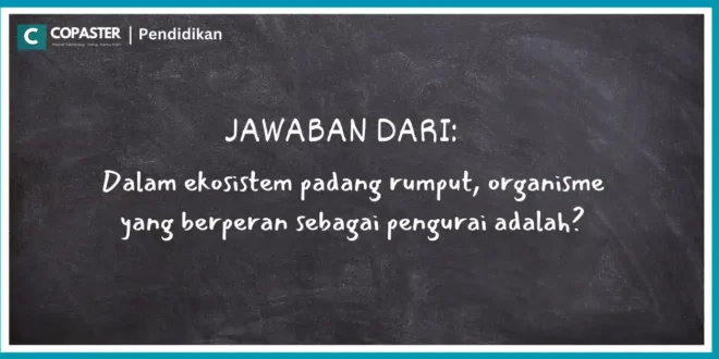 dalam ekosistem padang rumput organisme yang berperan sebagai pengurai adalah