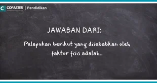 Pelapukan berikut yang disebabkan oleh faktor fisis adalah