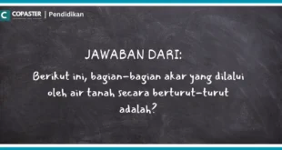 Berikut ini, bagian-bagian akar yang dilalui oleh air tanah secara berturut-turut adalah?