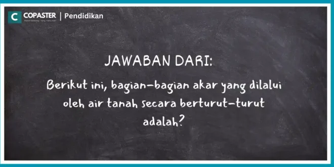 Berikut ini, bagian-bagian akar yang dilalui oleh air tanah secara berturut-turut adalah?