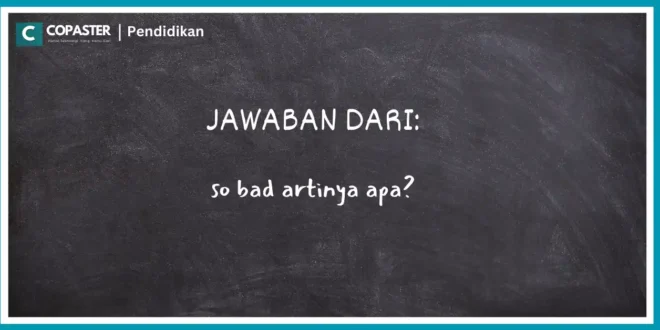 so bad artinya