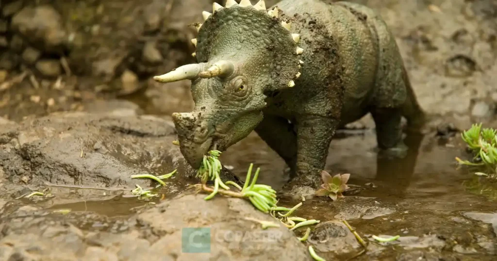 triceratops makan daun