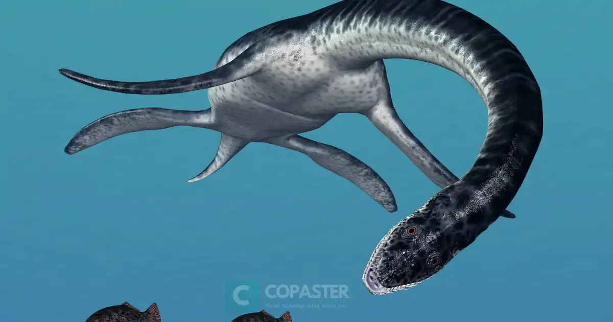 Plesiosaurus