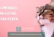 356 Rekomendasi Nama Kucing Jantan Keren 2024!