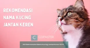 356 Rekomendasi Nama Kucing Jantan Keren 2024!