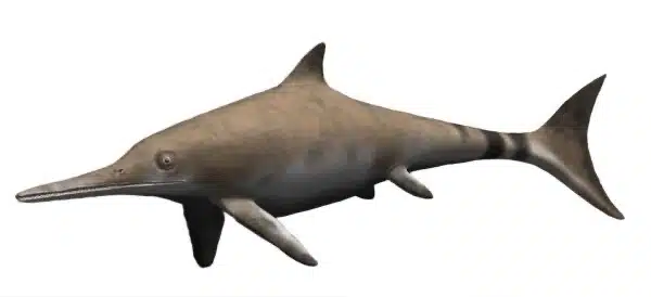 Ichthyosaurus